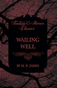 Immagine di copertina: Wailing Well (Fantasy and Horror Classics) 9781473305533