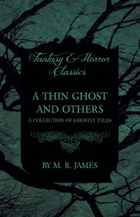 Omslagafbeelding: A Thin Ghost and Others - A Collection of Ghostly Tales (Fantasy and Horror Classics) 9781473305274