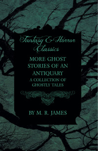 Imagen de portada: More Ghost Stories of an Antiquary - A Collection of Ghostly Tales (Fantasy and Horror Classics) 9781473305304