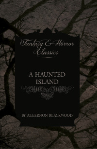 Omslagafbeelding: A Haunted Island (Fantasy and Horror Classics) 9781447405122