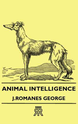Imagen de portada: Animal Intelligence 9781406712469
