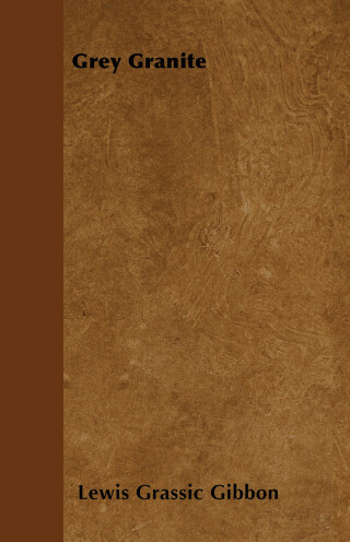 Imagen de portada: Grey Granite 9781447403401