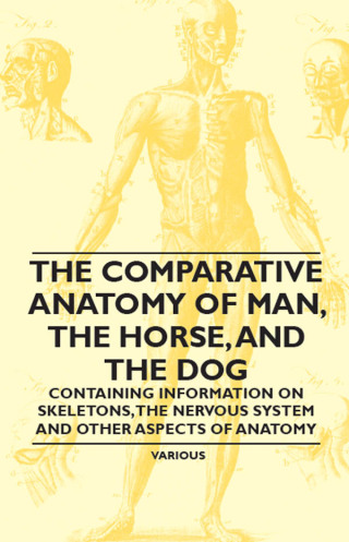 Cover image: The Comparative Anatomy of Man, the Horse, and the Dog - Containing Information on Skeletons, the Nervous System and Other Aspects of Anatomy 9781446536407