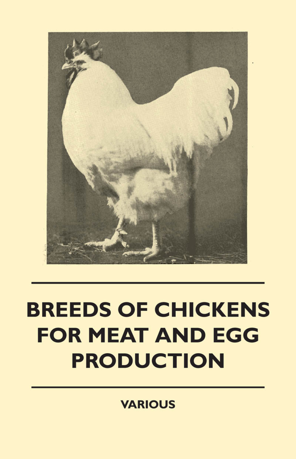 Breeds of Chickens for Meat and Egg Production