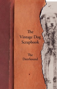 表紙画像: The Vintage Dog Scrapbook - The Deerhound 9781447428299