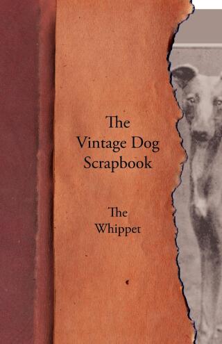 Immagine di copertina: The Vintage Dog Scrapbook - The Whippet 9781447430001