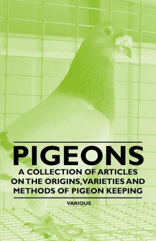 Cover image: Pigeons - A Collection of Articles on the Origins, Varieties and Methods of Pigeon Keeping 9781446535233