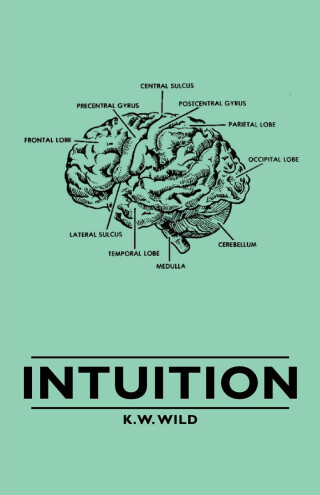 Cover image: Intuition 9781406789799