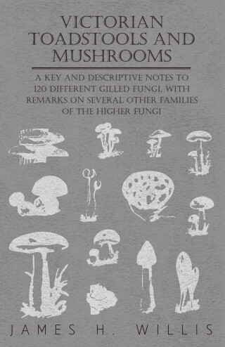 Imagen de portada: Victorian Toadstools and Mushrooms 9781446522288