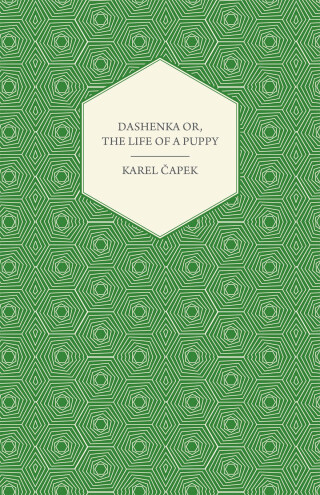 Cover image: Dashenka Or, The Life of a Puppy 9781447422716