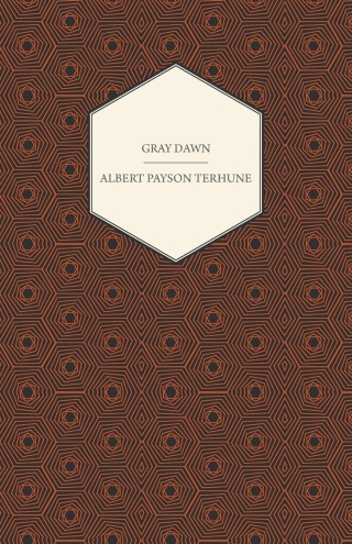 Cover image: Gray Dawn 9781447472810