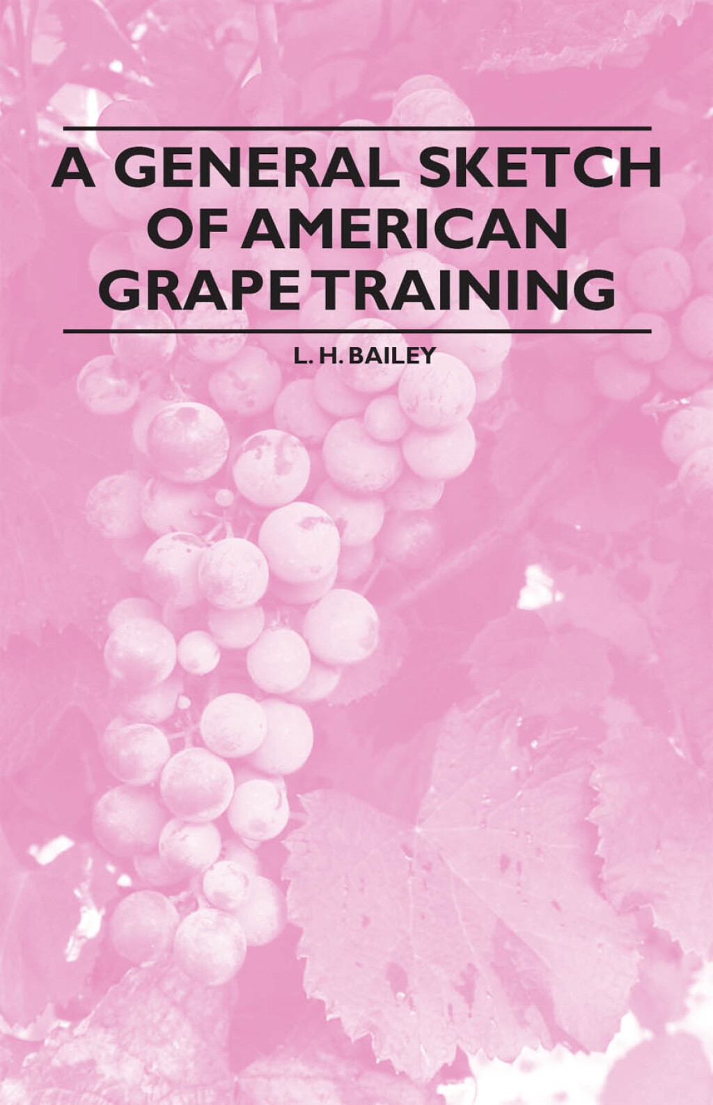 A General Sketch of American Grape Training