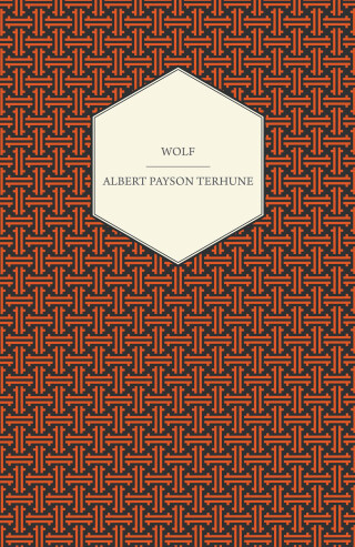 表紙画像: Wolf 9781447472490