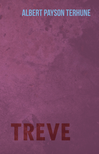 Cover image: Treve 9781447472643