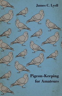 Imagen de portada: Pigeon-Keeping for Amateurs - A Complete and Concise Guide to the Amateur Breeder of Domestic and Fancy Pigeons 9781447464631