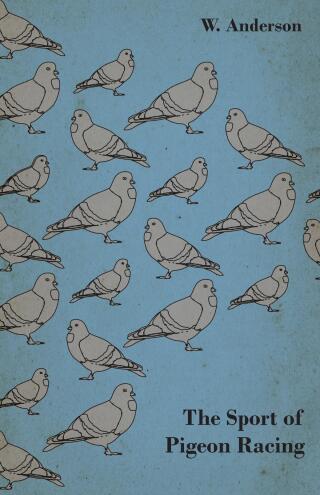 Cover image: The Sport of Pigeon Racing 9781445512129