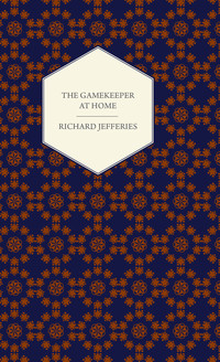 Cover image: The Gamekeeper at Home - Sketches of Natural History and Rural Life 9781443738996