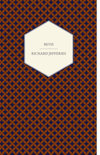 Immagine di copertina: Bevis 9781443738231