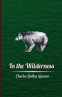 Cover image: In The Wilderness 9781408674499
