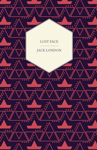Cover image: Lost Face 9781408677261