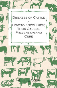 Omslagafbeelding: Diseases of Cattle - How to Know Them; Their Causes, Prevention and Cure - Containing Extracts from Livestock for the Farmer and Stock Owner 9781446535561
