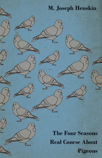 Imagen de portada: The Four Seasons Real Course About Pigeons 9781443759052