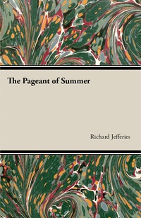Omslagafbeelding: The Pageant of Summer 9781473316195