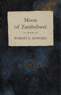 Cover image: Moon of Zambebwei 9781473322844