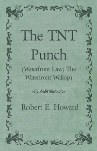 Omslagafbeelding: The TNT Punch (Waterfront Law; The Waterfront Wallop) 9781473323476