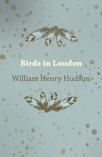 Imagen de portada: Birds in London 9781473323865