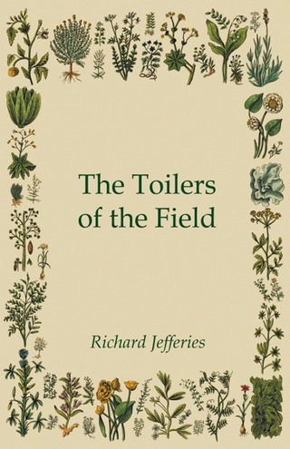 Cover image: The Toilers of the Field 9781473324282