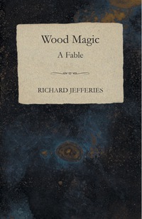 Titelbild: Wood Magic - A Fable 9781473324299