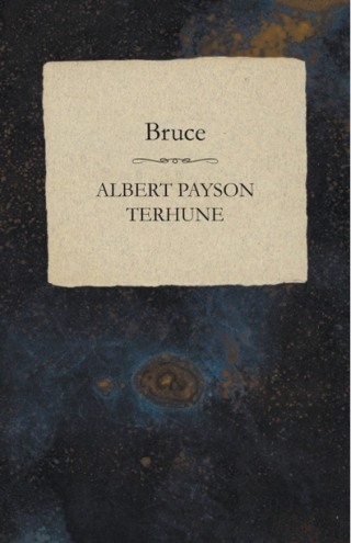 表紙画像: Bruce 9781473323933