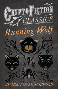 Cover image: Running Wolf (Cryptofiction Classics - Weird Tales of Strange Creatures) 9781473307582