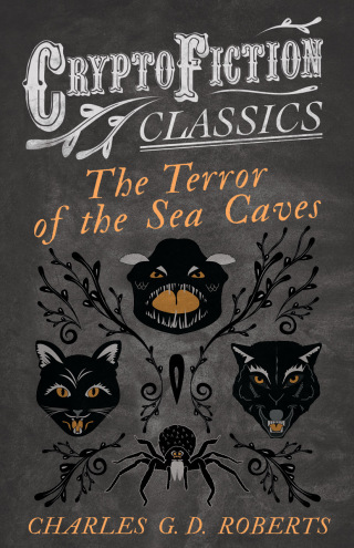 صورة الغلاف: The Terror of the Sea Caves (Cryptofiction Classics - Weird Tales of Strange Creatures) 9781473307759