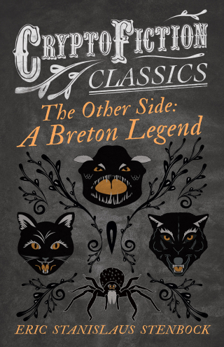 صورة الغلاف: The Other Side: A Breton Legend (Cryptofiction Classics - Weird Tales of Strange Creatures) 9781473307872