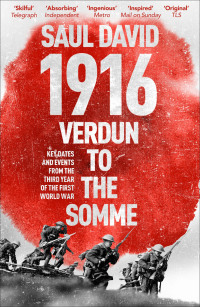 Cover image: 1916: Verdun to the Somme 9781473603981
