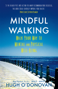 Cover image: Mindful Walking 9781473613898