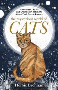 Cover image: The Mysterious World of Cats 9781473638068