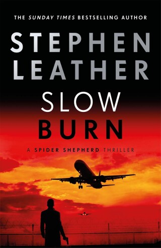 Cover image: Slow Burn 9781473672000