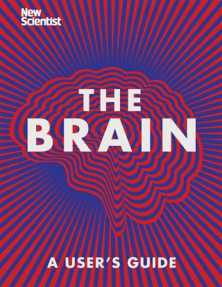 Cover image: The Brain 9781473685079