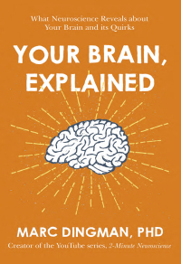 Cover image: Your Brain, Explained 9781473696556