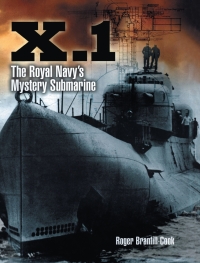 Cover image: X.1 9781848321618