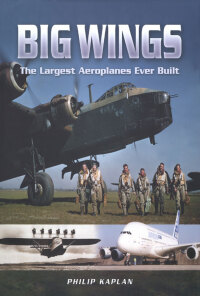 Cover image: Big Wings 9781844151783