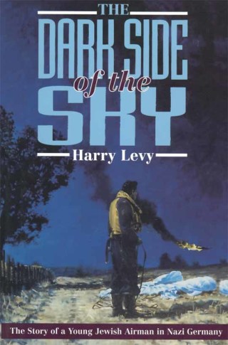 表紙画像: The Dark Side of the Sky 9780850524987