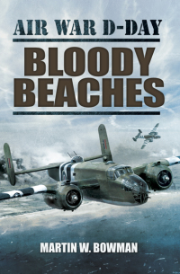 Cover image: Bloody Beaches 9781781591789