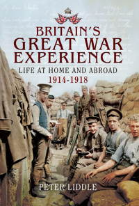 Cover image: Britain's Great War Experience 9781473821163