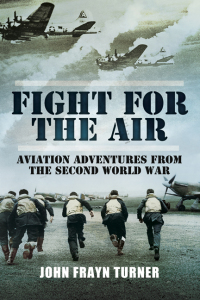 Cover image: Fight for the Air 9781783463039