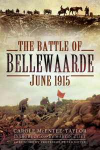 Imagen de portada: The Battle of Bellewaarde, June 1915 9781526782038