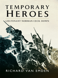 Cover image: Temporary Heroes 9781781591963